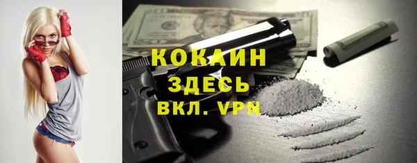 спайс Пересвет