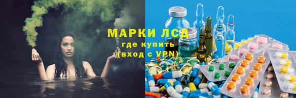 спайс Пересвет