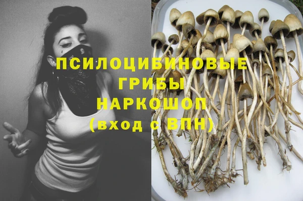 mdpv Пестово