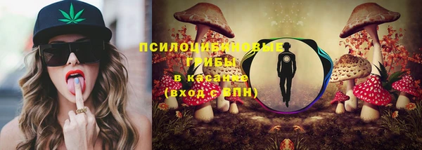 спайс Пересвет