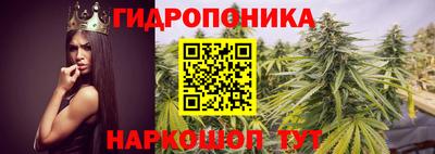 мяу мяу кристалл Кингисепп