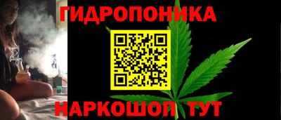 2c-b Кимры