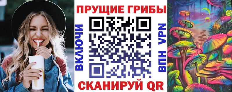 Галлюциногенные грибы Psilocybe  OMG ONION  Киров  наркота 