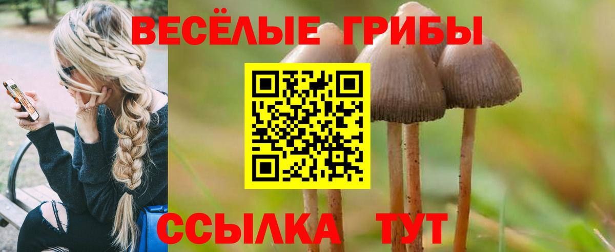 Псилоцибиновые грибы Magic Shrooms  Киров 