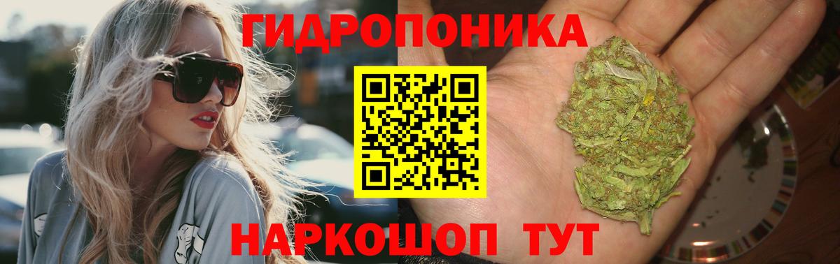 Каннабис OG Kush Киров